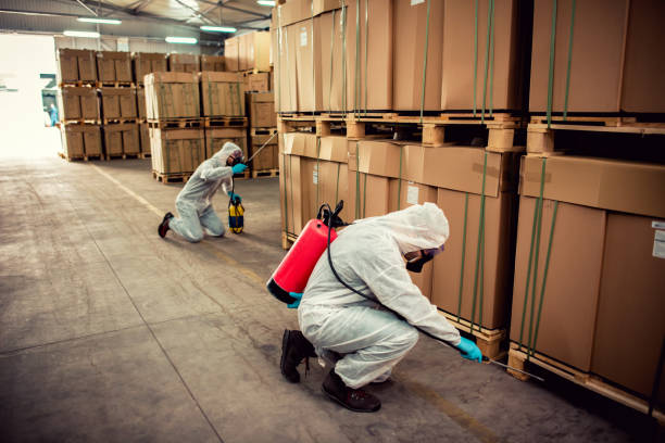 Best Best Pest Control Companies  in Indian Shores, FL