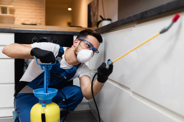 Best Exterminator Services  in Indian Shores, FL