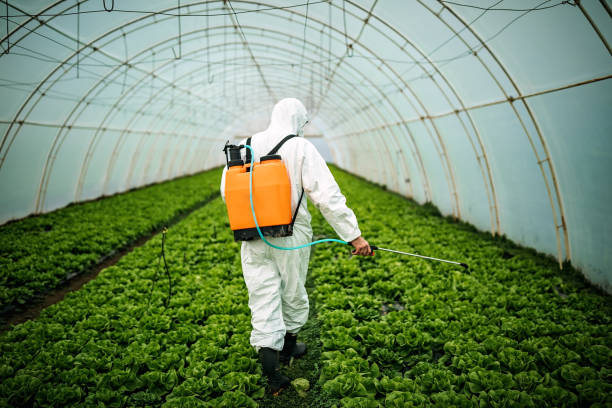 Best Best Pest Control Near Me  in Indian Shores, FL