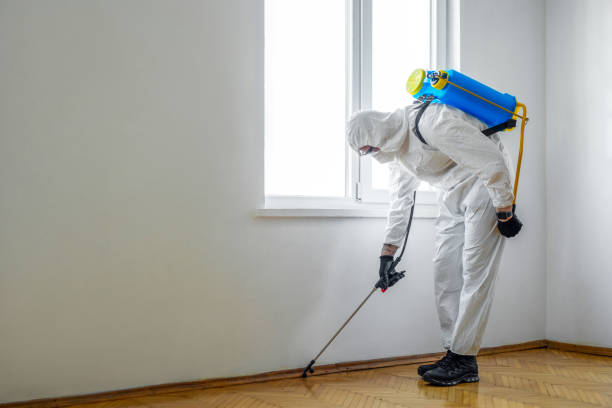 Best Affordable Pest Control Services  in Indian Shores, FL