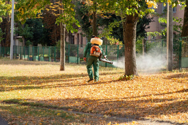 Best Wasp Removal Services  in Indian Shores, FL